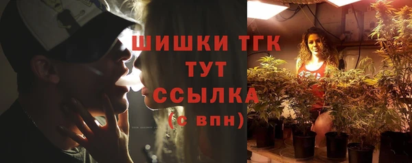 винт Мегион