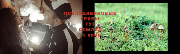 винт Мегион