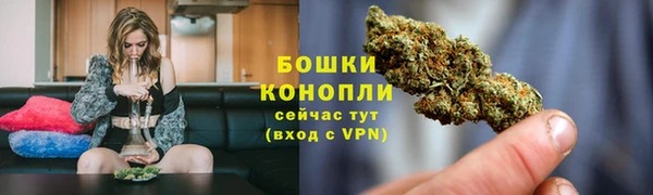винт Мегион