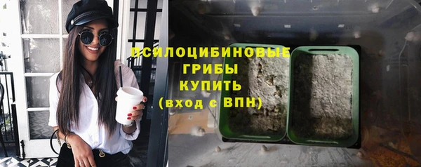 гидра Медвежьегорск